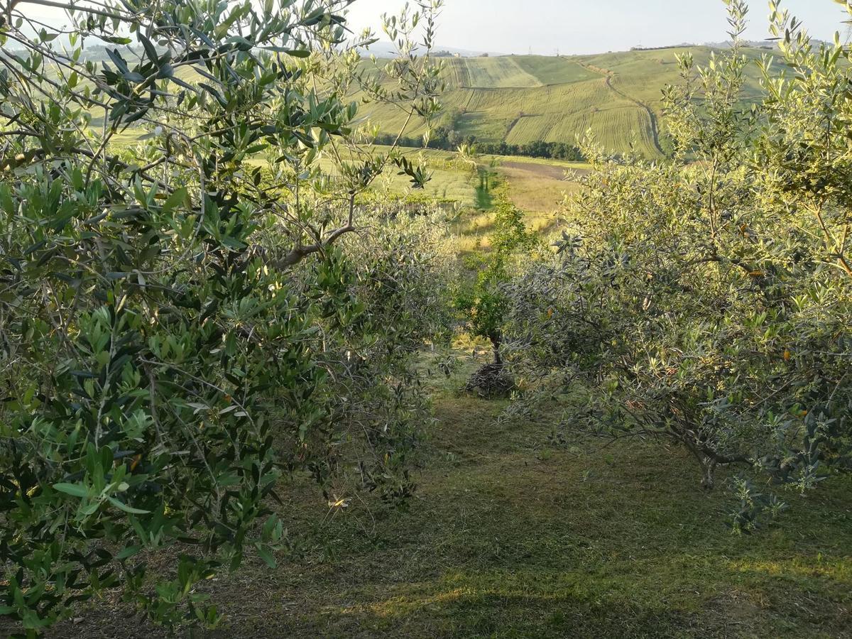 Agriturismo La Ruelle Villa Atessa Buitenkant foto